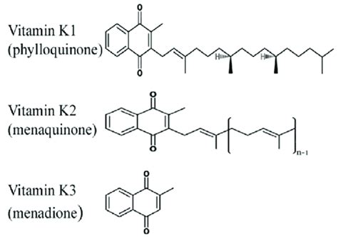 Comprehensive Guide To Vitamin K Foods And Benefits Optimising Nutrition