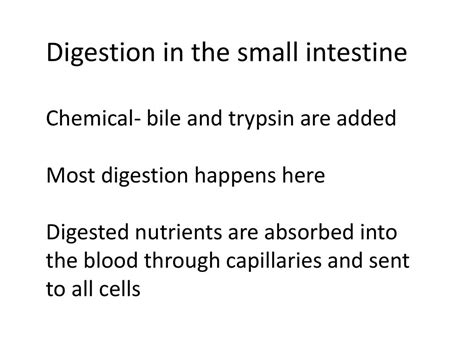 Two Types Of Digestion Mechanical Chemical Ppt Download