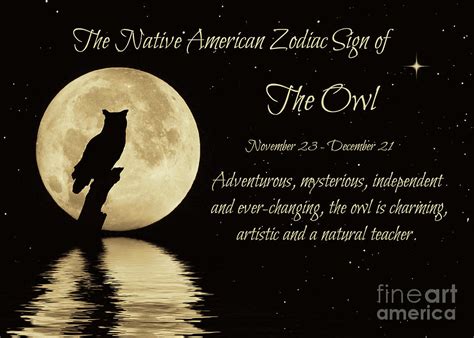 Native American Zodiac Sign of the Owl Photograph by Stephanie Laird