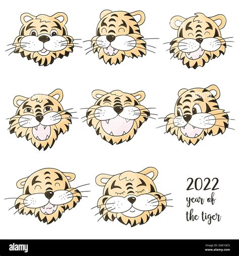 Faces Of Tigers Symbol Of 2022 Set Of Tigers In Hand Draw Style New Year 2022 Collection Of