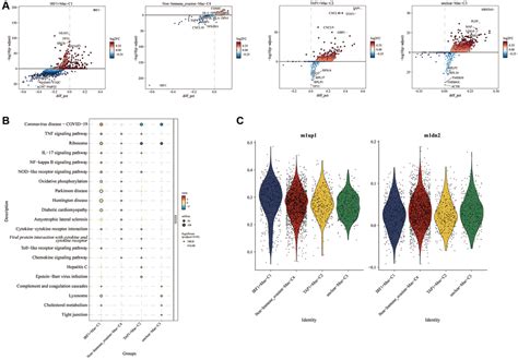 Single Cell Immune Escape Correlation Analysis Unraveling The