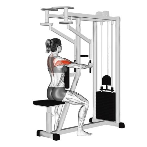 Pec Deck Machine Benefits Muscles Worked And More Inspire Us