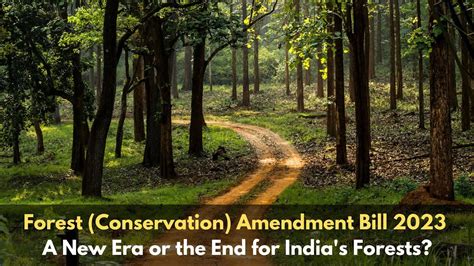 Forest Conservation Amendment Bill 2023 A New Era Or The End For