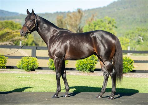 Lean Mean Machine Aquis Farm