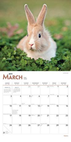 2019 Rabbits Calendar Walmart Canada