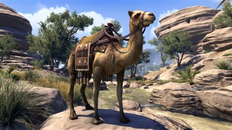 Hammerfell Camel Elder Scrolls Fandom