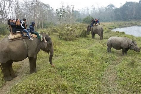 Chitwan Jungle Safari Tour 2 Night 3 Days With Private Transportation