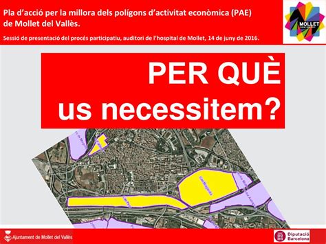 Pla Dacci Per La Millora Dels Pol Gons Dactivitat Econ Mica Pae De