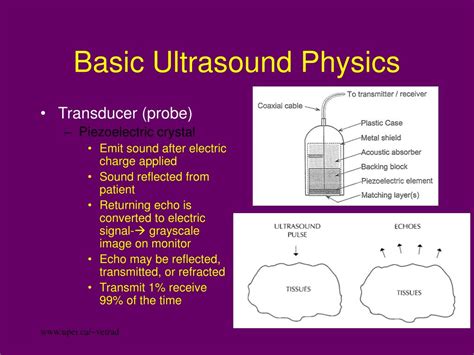 Ppt Ultrasonography Powerpoint Presentation Free Download Id623027