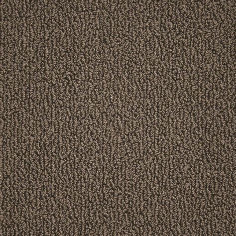 Kraus Carpet Sample Paradise Color Classic Brown Texture 8 In X 8