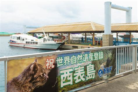 石垣島と離島（八重山諸島）への旅行は冬もおすすめ！冬の観光・グルメ・アクティビティ 2022年03月03日 ｜biglobe Beauty