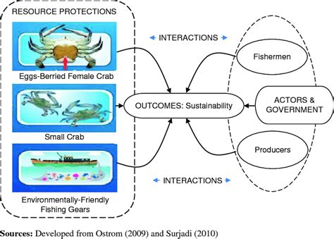 A Social Ecological System Ses Framework In Bsc Resource Management