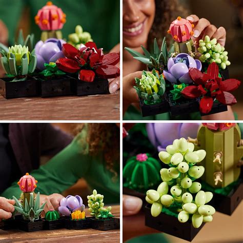 LEGO 10309 Icons Succulents - Entertainment Earth