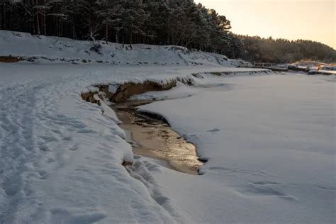 En Medio Del Silencio Del Invierno El Sol Agrada A Los Pinos Con Besos