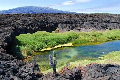 Punta Pitt en isla San Cristóbal