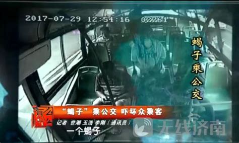 濟南一公車上發現「蠍子」 疑似乘客偷偷帶上車 每日頭條