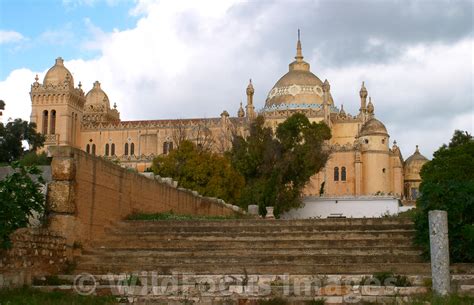 Wildfocus Images Cathedral Of St Louis On Byrsa Hill Carthage Museum