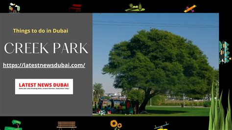 Explore Dubai Creek Park