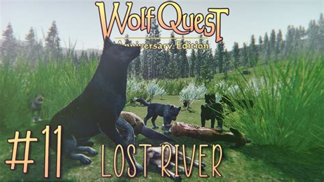 Wolfquest Ae Lost River De Barriga Cheia Youtube