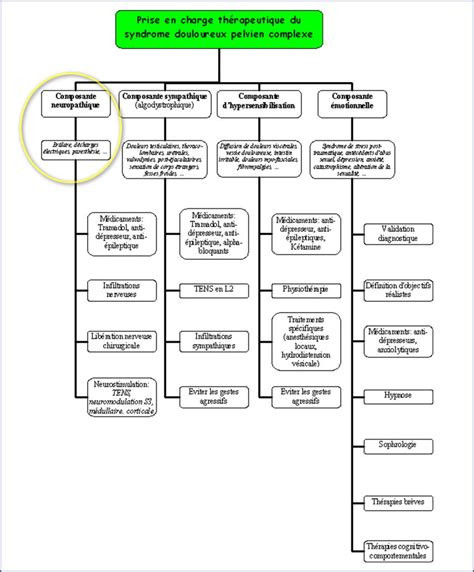 Questionnaire Dn Douleurs Neuropathiques Neuropathies Algies