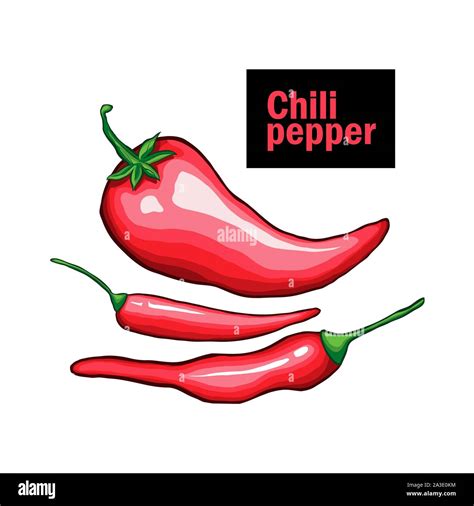 Hot Chilli Pepper Hand Drawn Vector Illustration Traditional Mexican