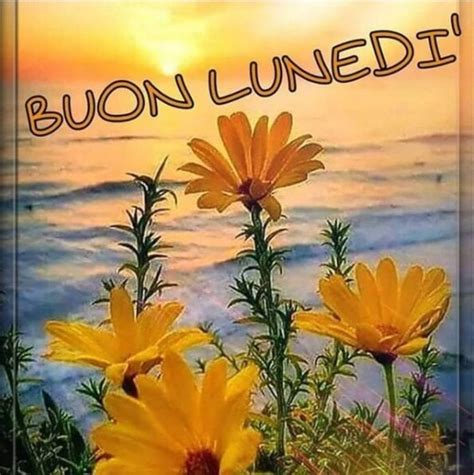 Buon Lunedì 23 Maggio 2022 Frasi immagini nuove del buongiorno