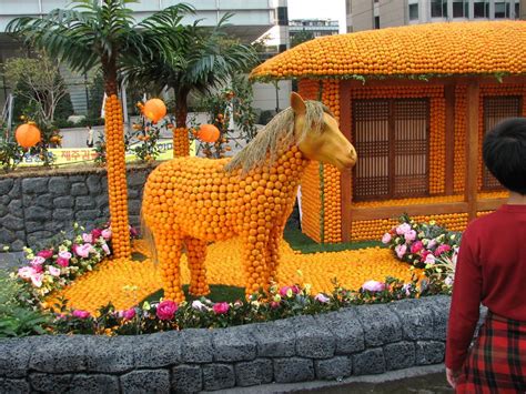 The Wanderer: Cheju Mandarin Orange Festival in Seoul