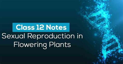 Sexual Reproduction In Flowering Plants Class Notes Vidyakul