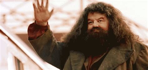 Hagrid GIFs - Get the best GIF on GIPHY