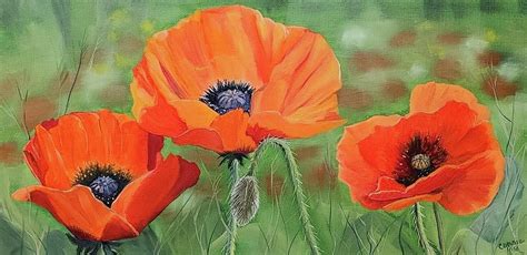 Poppies Painting By Connie Rish Pixels