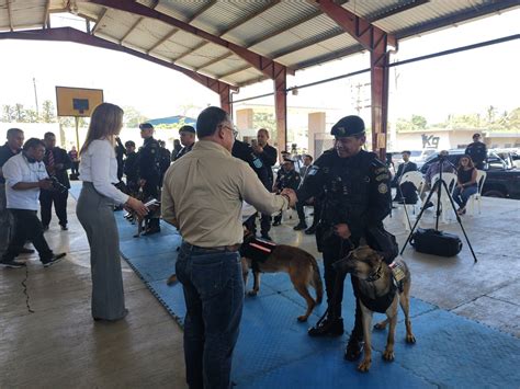 PNC De Guatemala On Twitter Los Agentes Caninos Fueron Donados Por