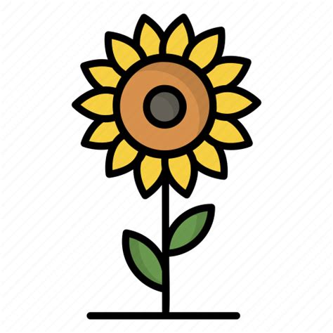 Sunflower Flower Nature Plant Blossom Natural Agriculture Icon