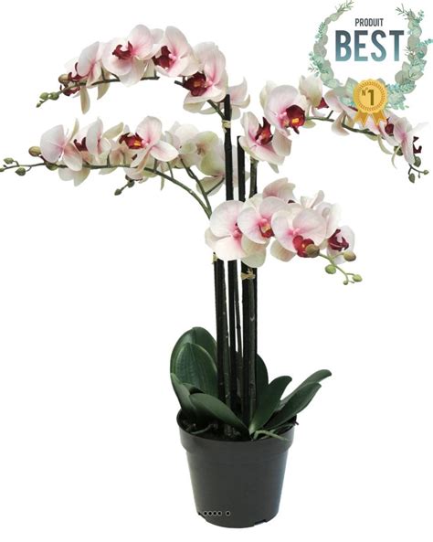 Orchidée Phalaenopsis artificielle en pot qualité décorateur H 60 cm