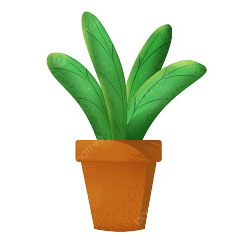 Potted Plant Plant Green Plants Plants Png Transparent Clipart Image