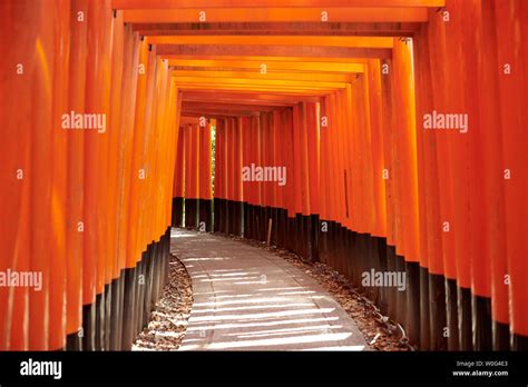 Fushimi Inari Shrine Stock Photo - Alamy