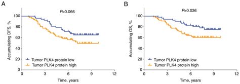 Aberrant Expression Of Pololike Kinase In Renal Cell Carcinoma