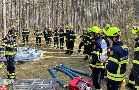 Waldbrandbekämpfung Freiwillige Feuerwehr simulierte Brand im