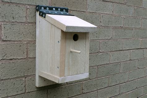 How To Make A Bird Nesting Box In Your Shed