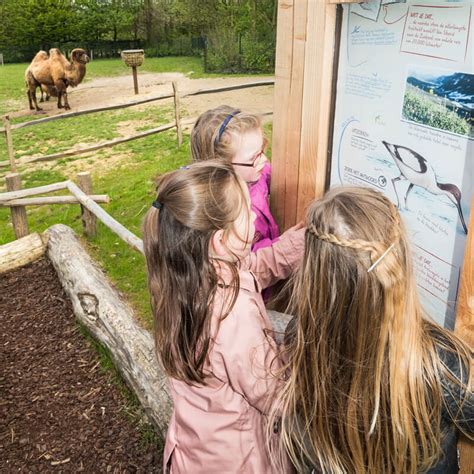 Kinderfeestje Vieren In Gaiazoo Gaiazoo