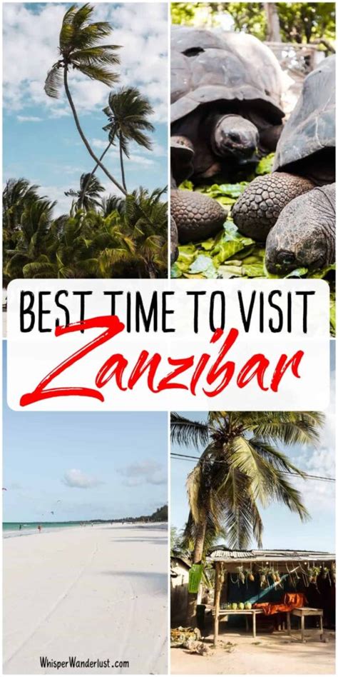 Best Time To Visit Zanzibar Tanzania