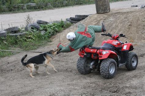 Protection Dog Training