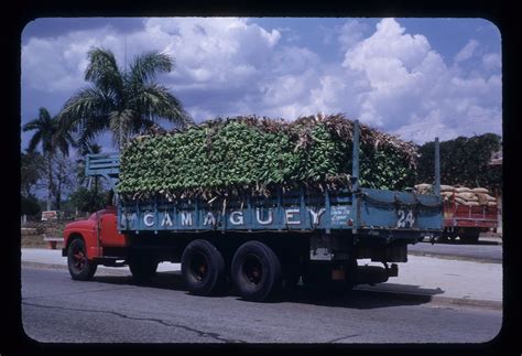 Truckload Of Bananas Cuba Early 1950s 17 071 Tom Lehman Flickr