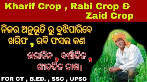 Kharif Crop Rabi Crop Zaid Crop In Odia For Ct B Ed Ssc Upsc