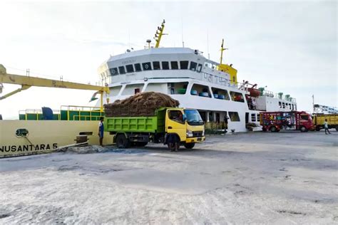 Cegah Penularan Pmk Ditjen Hubla Lakukan Deviasi Kapal Pengangkut