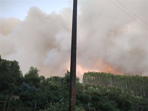 Amplían Alerta Roja para las comunas de Paillaco y Valdivia por