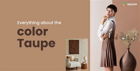 Taupe Color Exploring Shades Uses And Psychology