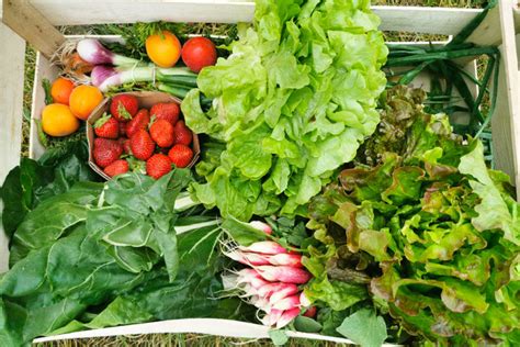 Comment bien conserver ses fruits et légumes Deklic