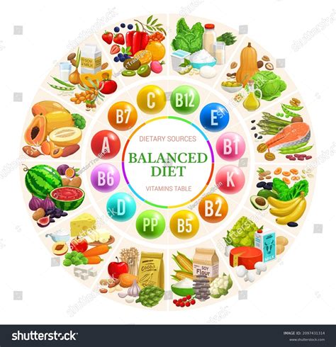 Balanced Diet Diagram Chart Vitamins Minerals Stock Vector (Royalty ...