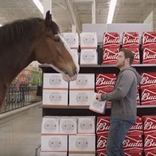 Budweiser Talking Horse | Commercial Song