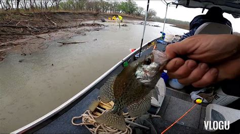 Crappie Fishing Kansas Youtube